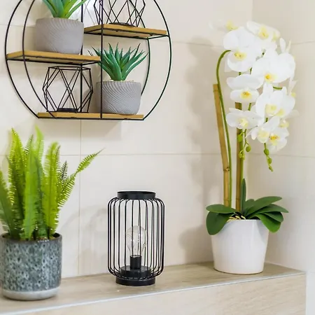 Daire Dhouse Z Widokiem Na Morze